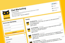 Le compte Twitter de Owl Marketing