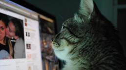 Comment animer une page facebook professionelle