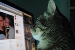 Comment animer une page facebook professionelle