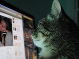 Comment animer une page facebook professionelle