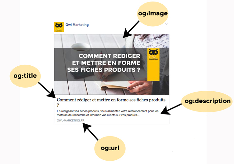 Réseaux sociaux : Partage d'une publication Facebook d'un article Owl Marketing